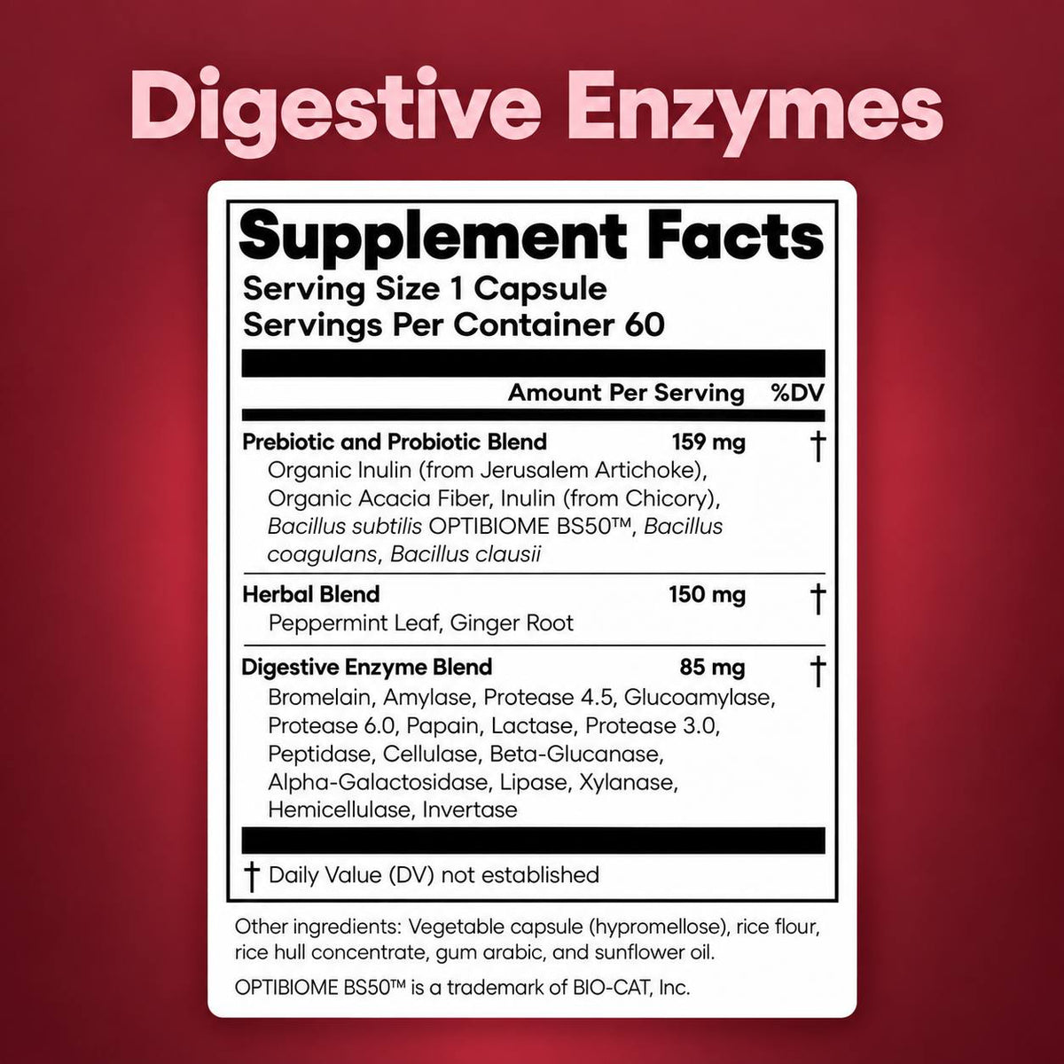 Digestive Enzymes